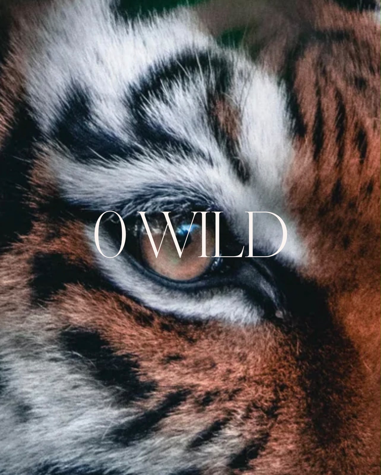 WILD
